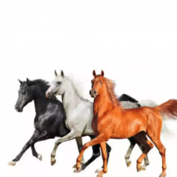 Lil Nas X - Old Town Road (Remix) Ft. Diplo & Billy Ray Cyrus